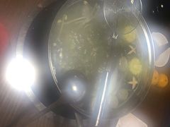 -牛郎记潮汕牛肉火锅(大西洋银泰城店)