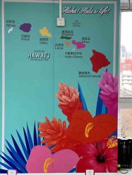 -呼拉汇舞蹈生活馆 Hawaii Hula&Tahiti Dance Studio