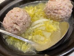 -丁老爷子苏香圆