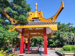-金砂公园