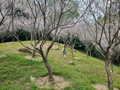 -广州市白云山风景名胜区