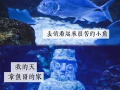 -南昌海洋公园