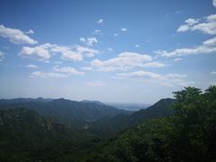-大岭沟猕猴桃谷风景区