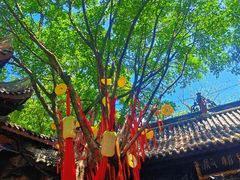 -丰都鬼城名山景区