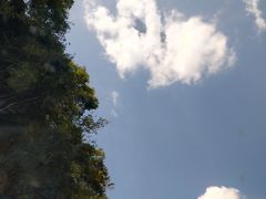 -东白山