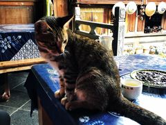 -龙姐私房菜(和顺古镇店)