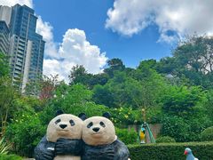 -石排湾郊野公园