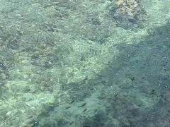 -三亚西岛海洋文化旅游区