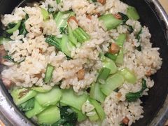 -肥猫(义乌万达店)