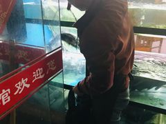 -全乐鱼馆·淳牌有机鱼直营店