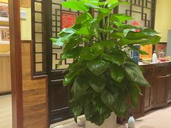 -西贝(六里桥旗舰店)