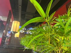 -山城辣妹子(定福庄店)