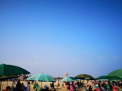 -东海岛旅游度假区