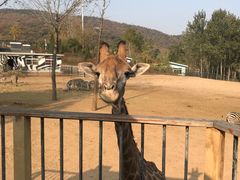 -大连森林动物园