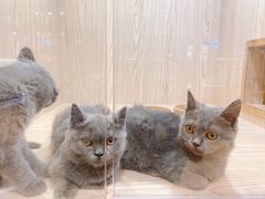 -卡罗酒店(东门晒布地铁站店)