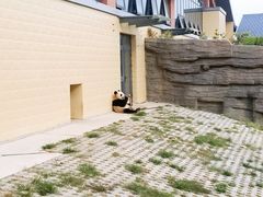 -石家庄市动物园