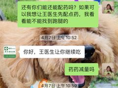 -爱侣宠医·鹦鹉专科·小型哺乳类·异宠专科(灵石路店)