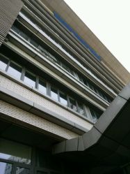 -首都医科大学附属北京儿童医院