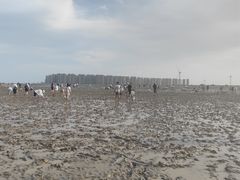 -启东黄金海滩景区