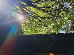 -我嘉书房(南翔名士居店)