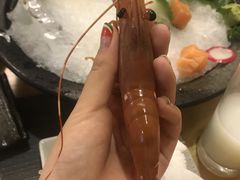 -悦和餐厅(CBD玉米楼店)