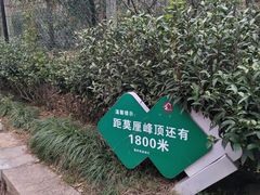 -雨花胜境