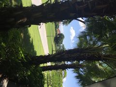 iphone_upload_pic-平安（深圳）金融教育培训中心