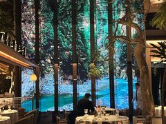 -桂满陇·海市蜃楼·黑金(国金店)