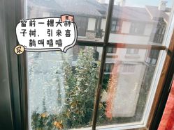 -芙蓉花月子会所(朝阳区店)
