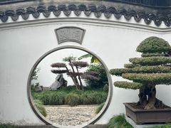 -绮园景区