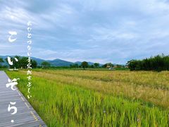 -良渚古城遗址公园