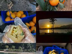 -楠溪江风景名胜区