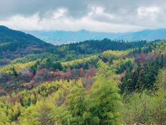 -塔川景区