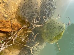 -北仑森林植物园