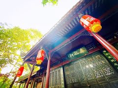 -棠湖公园