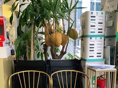 -猫王榴莲世家(三里屯SOHO商场店)