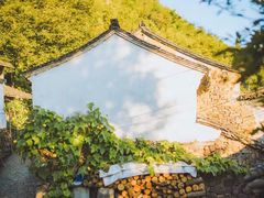-宁波余姚老柿林山居度假村