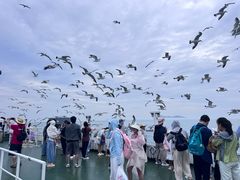 -海驴岛(荣成市)
