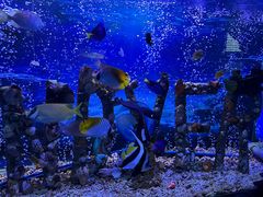 -太平洋海底世界