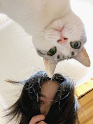 -Hair  Gallery