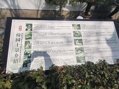 -绮园景区