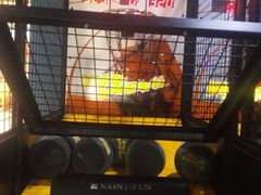 -大玩家(哈尔滨悦荟店)