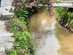 -黟县屏山村
