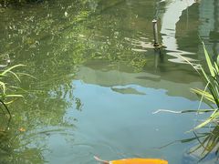 -西江印象酒楼