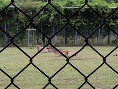 -北京麋鹿生态实验中心