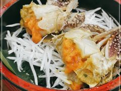 -渔娘渔家丹东海鲜(东直门店)