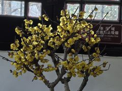 -无锡梅园公园