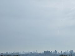 -武汉世茂希尔顿酒店·汇·全日餐厅