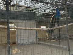 -保定市动物园