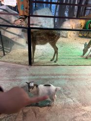 -酷嗒动物文化乐园(cutezoo西溪乐天城店)